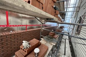 Ventre de boeuf 3 A VALIDER